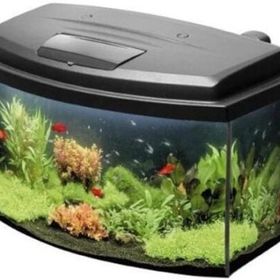 Aquael Aqua 4 Family Siyah Oval Cam Akvaryum