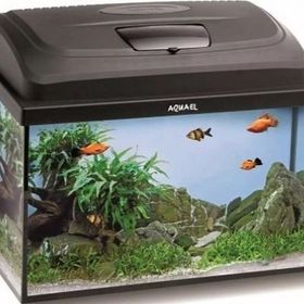 Aquael Aqua 4 Kids Siyah Düz Cam Akvaryum