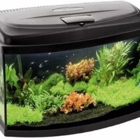 Aquael Aqua 4 Kids Siyah Oval Cam Akvaryum