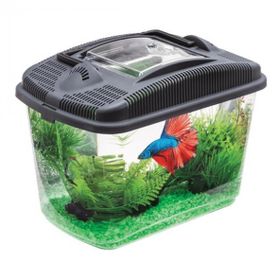 Aquael Betta Kit Akvaryum