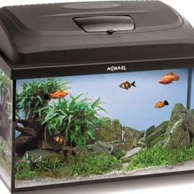 Aquael Classic Box 40 Siyah Düz Cam Akvaryum