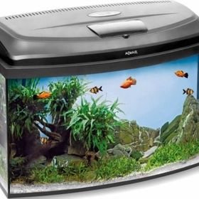 Aquael Classic Box 80 Oval Cam Siyah Akvaryum