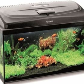 Aquael Classic Box 80 Siyah Düz Cam Akvaryum