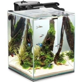 Aquael Fish Shrimp Set Duo 35 Siyah Akvaryum