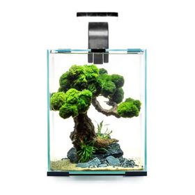 Aquael Shrimp Set Day and Night 10 Siyah 10 lt Karides Akvaryumu