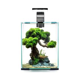 Aquael Shrimp Set Day and Night 10 Siyah 10 lt Karides Akvaryumu