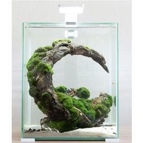 Aquael Shrimp Set Day and Night 20 Beyaz 19 lt Karides Akvaryumu