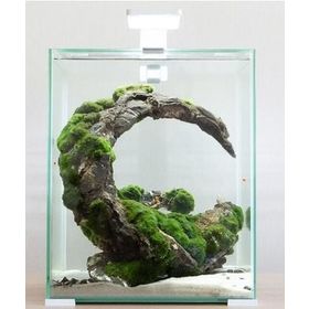 Aquael Shrimp Set Day and Night 20 Beyaz 19 lt Karides Akvaryumu