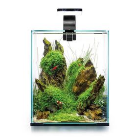 Aquael Shrimp Set Day and Night 30 Beyaz 30 lt Karides Akvaryumu