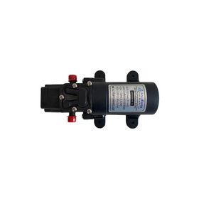 AquaForza 99916221 4.3 lt/dk 35 Psi 12 V Hidrofor