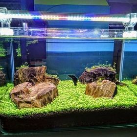 Aqualed 3000K 928008 Led Daylight 40 cm Aydınlatma Armatür
