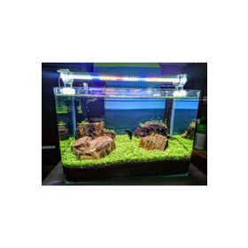 Aqualed 3000K 928008 Led Daylight 40 cm Aydınlatma Armatür