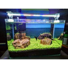 Aqualed 3000K 928008 Led Daylight 40 cm Aydınlatma Armatür
