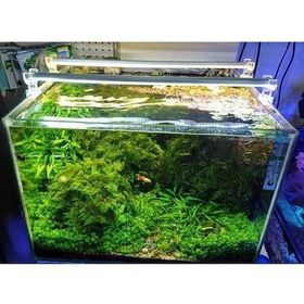 Aqualed 6500K 928003 Led Beyaz 60 cm Aydınlatma Armatür