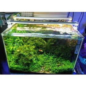 Aqualed 6500K 928003 Led Beyaz 60 cm Aydınlatma Armatür
