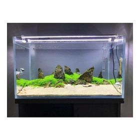Aqualed 6500K 928003 Led Beyaz 60 cm Aydınlatma Armatür