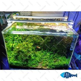 Aqualed 6500K 928003 Led Beyaz 60 cm Aydınlatma Armatür
