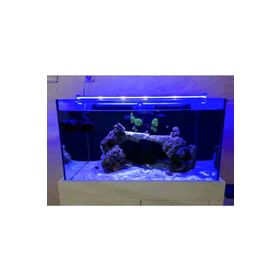 Aqualed 928019 Led Mavi 80 cm Aydınlatma Armatür