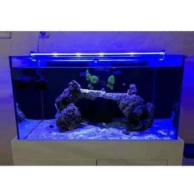 Aqualed 928021 Led Mavi 100 cm Aydınlatma Armatür