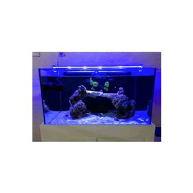 Aqualed 928021 Led Mavi 100 cm Aydınlatma Armatür