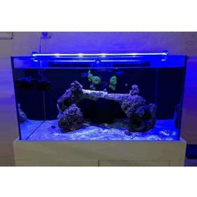 Aqualed 928021 Led Mavi 100 cm Aydınlatma Armatür