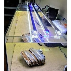 Aqualed 928022 Led Mavi-Beyaz 40 cm Aydınlatma Armatür