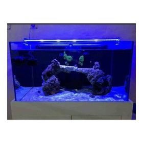 Aqualed Armatür Royal Mavi 30 cm Led Aydınlatma