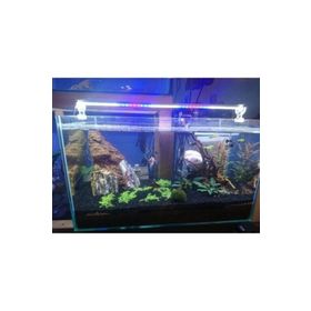 Aqualed Karışık Renkli Beyaz Kırmızı Mavi 30 cm Led Aydınlatma