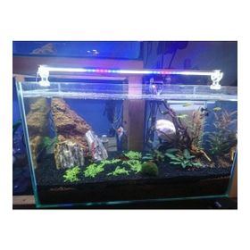 Aqualed Karışık Renkli Beyaz Kırmızı Mavi 80 cm Led Aydınlatma
