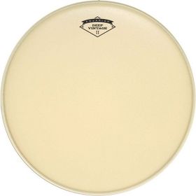 Aquarian Deep Vintage II DVII10 10 inç Tom Derisi