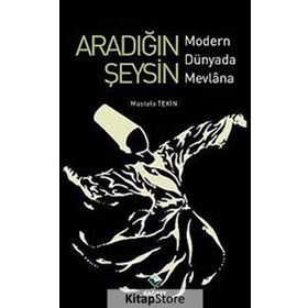 ARADIĞIN ŞEYSİN MODERN DÜNYADA MEVLANA - MUSTAFA TEKIN