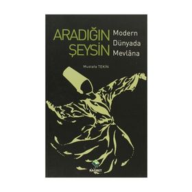 ARADIĞIN ŞEYSİN MODERN DÜNYADA MEVLANA - MUSTAFA TEKIN