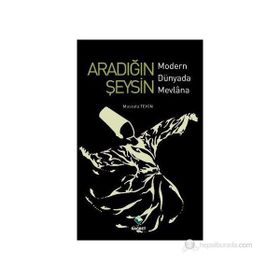ARADIĞIN ŞEYSİN MODERN DÜNYADA MEVLANA - MUSTAFA TEKIN