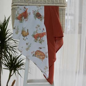 Arba Baby Organik %100 Pamuk Yenidoğan Kiremit Renk ve Tilki Temalı Müslin Seti