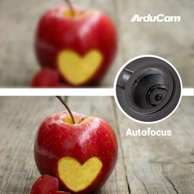 Arducam IMX219 4K 8 MP Otofokuslu Metal Kasalı USB Kamera Modülü