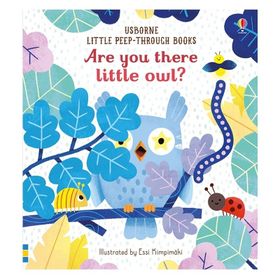 Are You There Little Owl?-Usborne Publishing