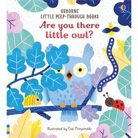 Are You There Little Owl?-Usborne Publishing