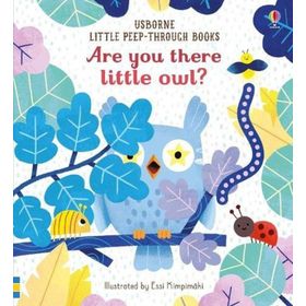 Are You There Little Owl?-Usborne Publishing