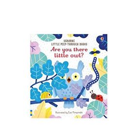 Are You There Little Owl?-Usborne Publishing