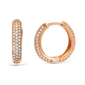 Argentum Concept K035901 925 Ayar Zirkon Taşlı Rose Halka Kadın Gümüş Küpe