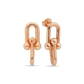 Argentum Concept K095001 Gümüş Rose Link Küpe