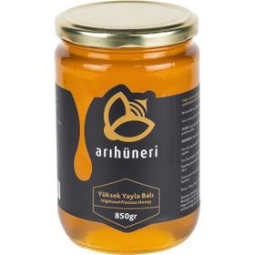 Arı Hüneri 850 gr Yüksek Yayla Balı