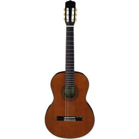 Aria A20N Klasik Gitar