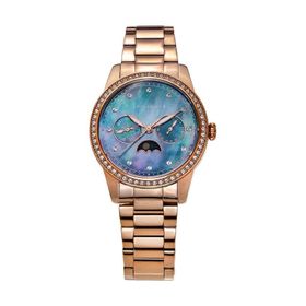 Aries Gold L 5040 RG-BKMP Kadın Kol Saati