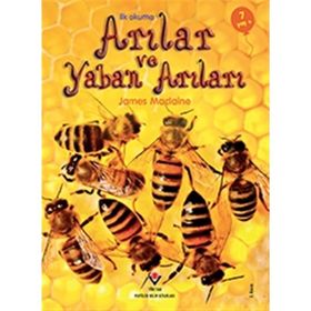 Arılar ve Yaban Arıları - İlk Okuma - James Maclaine