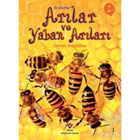 Arılar ve Yaban Arıları - İlk Okuma - James Maclaine