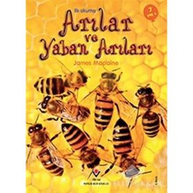 Arılar ve Yaban Arıları - İlk Okuma - James Maclaine