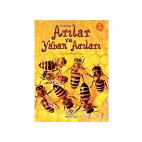 Arılar ve Yaban Arıları - İlk Okuma - James Maclaine