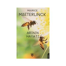 Arının Hayatı - Dorlion Yayınevi
