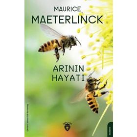 Arının Hayatı - Dorlion Yayınevi